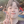 이상윤
