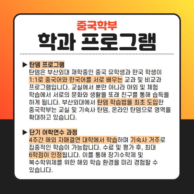 학과 프로그램