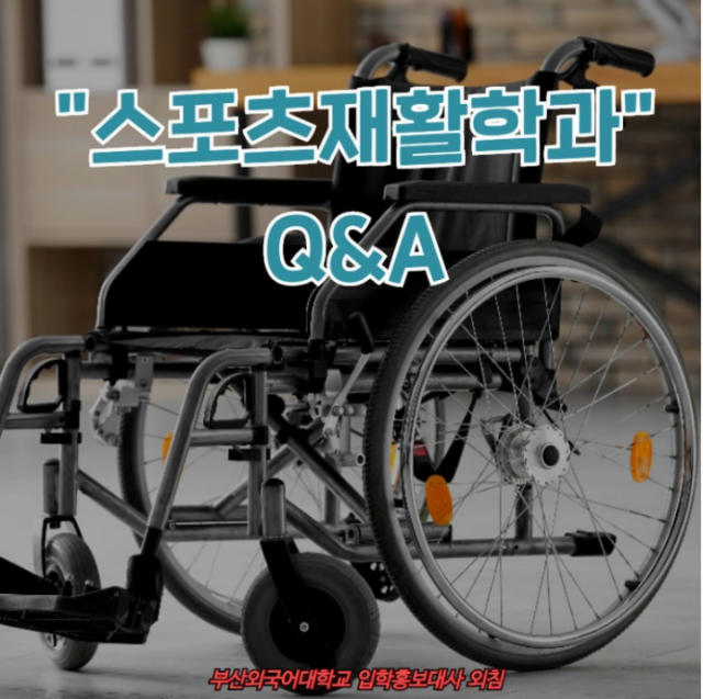 # 부산외대 / 신설학과 / 학과소개 / 스포츠재활학과 / Q&A