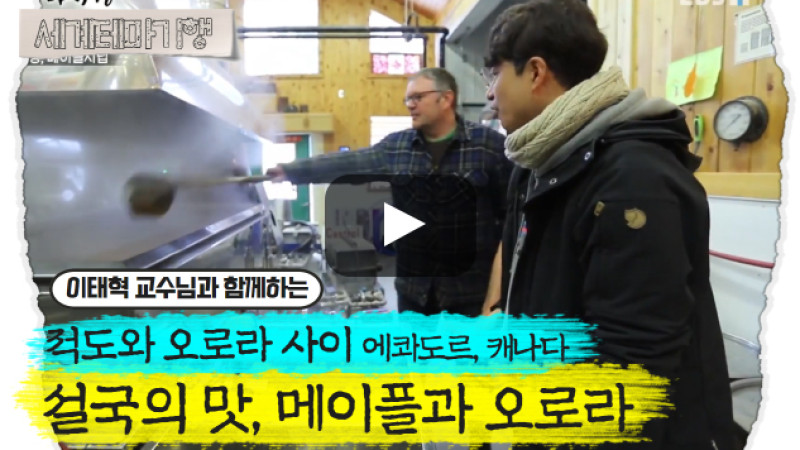 이태혁 – 적도와 오로라 사이, 에콰도르 캐나다 – 설국의 맛, 메이플과 오로라 [3탄]